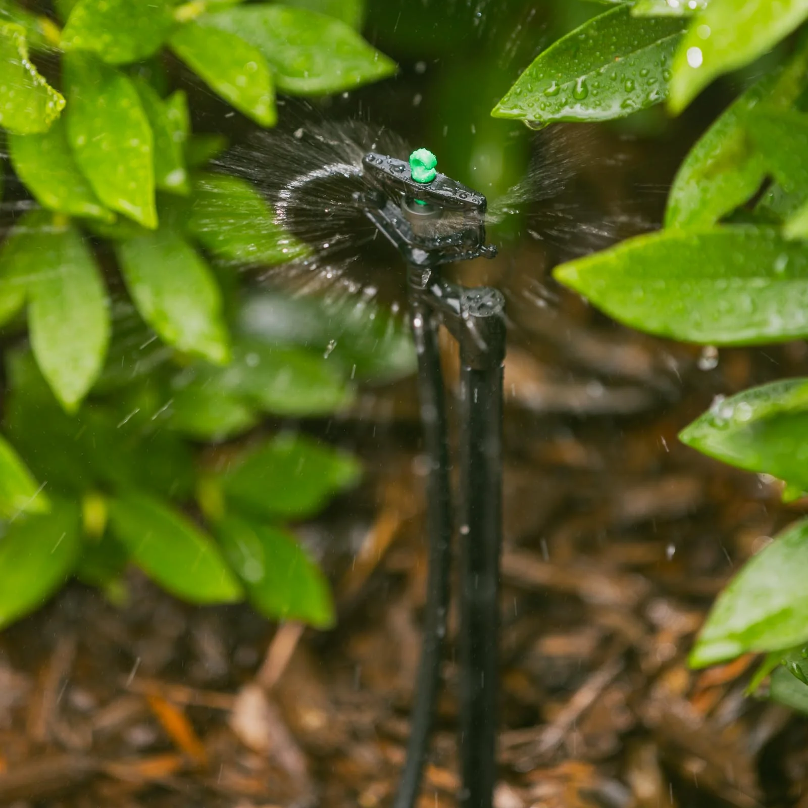 Pope 66 L/h Maxi Spinner on Stake (Green) - Image 3
